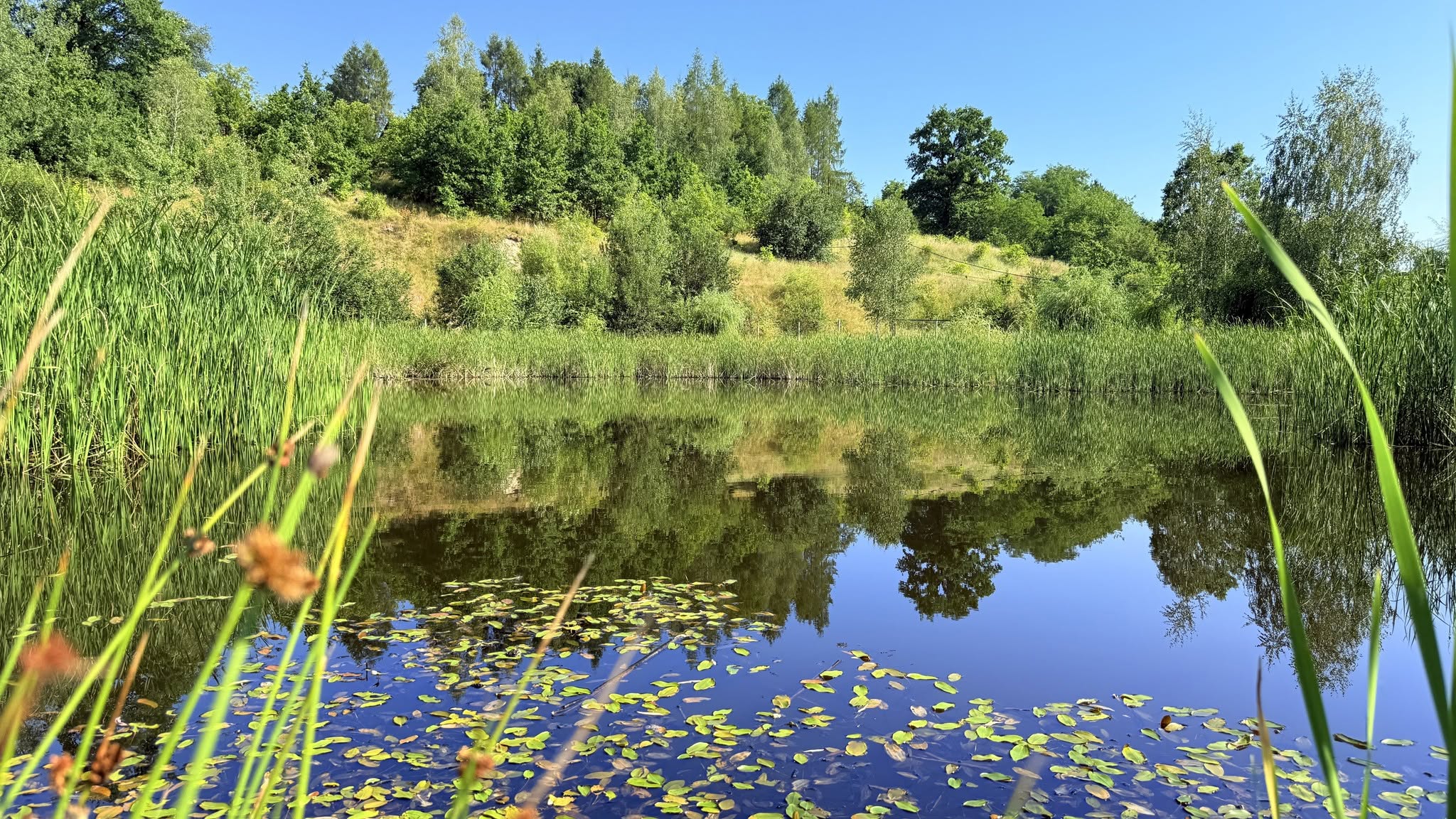 Salt water bathing, Maramureș — photo 8