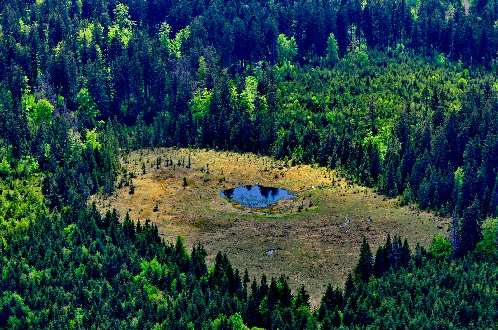 Tăul lui Dumitru