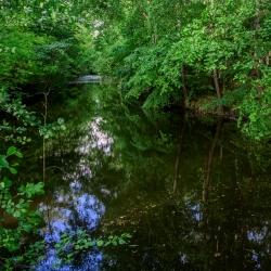 Tăurile de la Hoteni