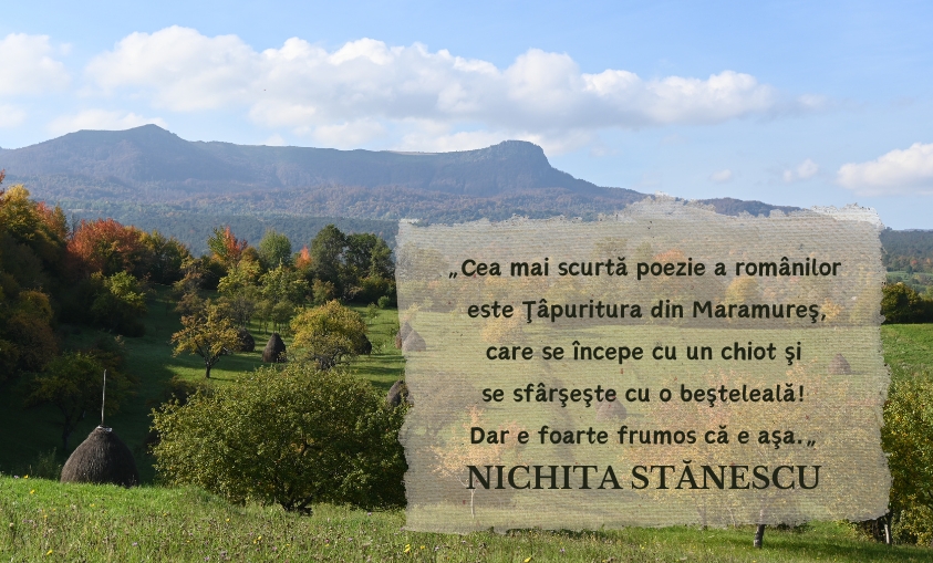Seară de poezie N.Stănescu
