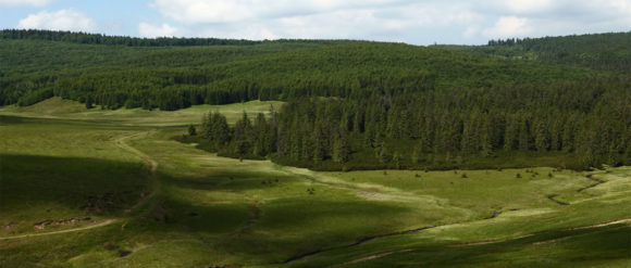 Hiking, Maramureș — photo 6
