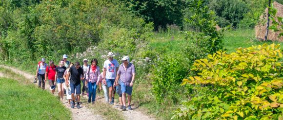 Hiking, Maramureș — photo 14