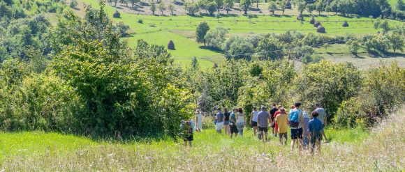 Hiking, Maramureș — photo 15